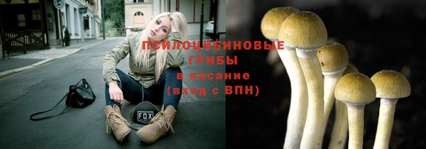 стафф Абаза