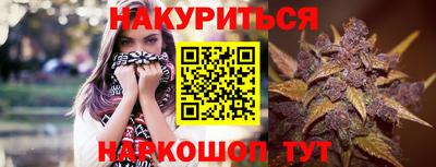 шишки Балашиха