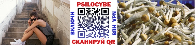 Галлюциногенные грибы Cubensis  закладки  Донецк 