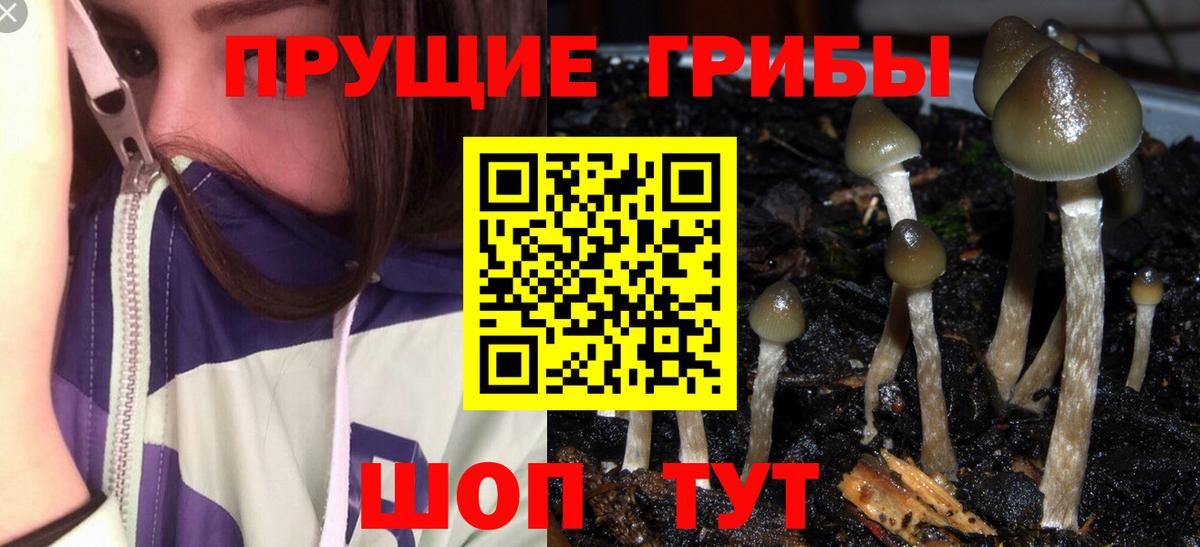 Псилоцибиновые грибы ЛСД Донецк