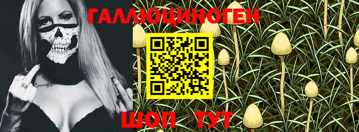 Галлюциногенные грибы GOLDEN TEACHER  Вход с VPN  где купить наркоту  Донецк 